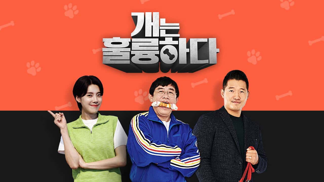 Nonton film Dogs Are Incredible (2019) subtitle indonesia streaming HD gratis