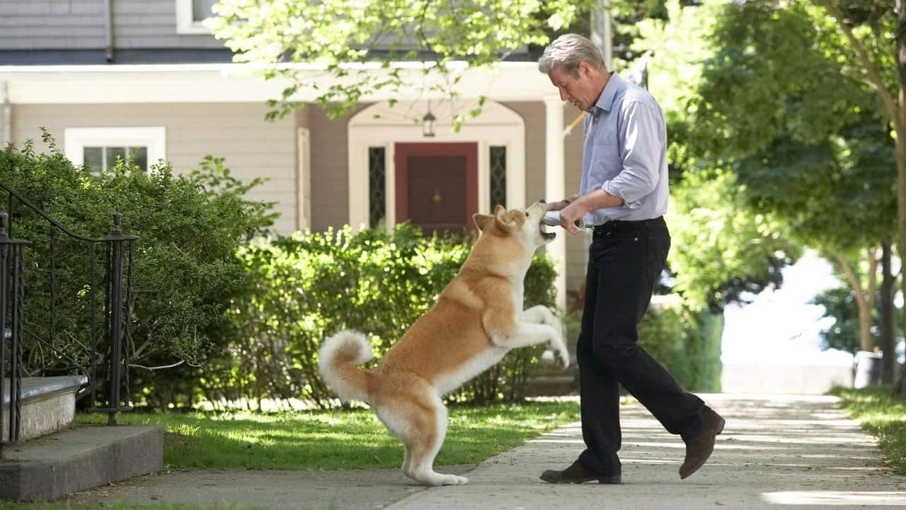 Nonton film Hachi: A Dog's Tale (2009) subtitle indonesia streaming HD gratis