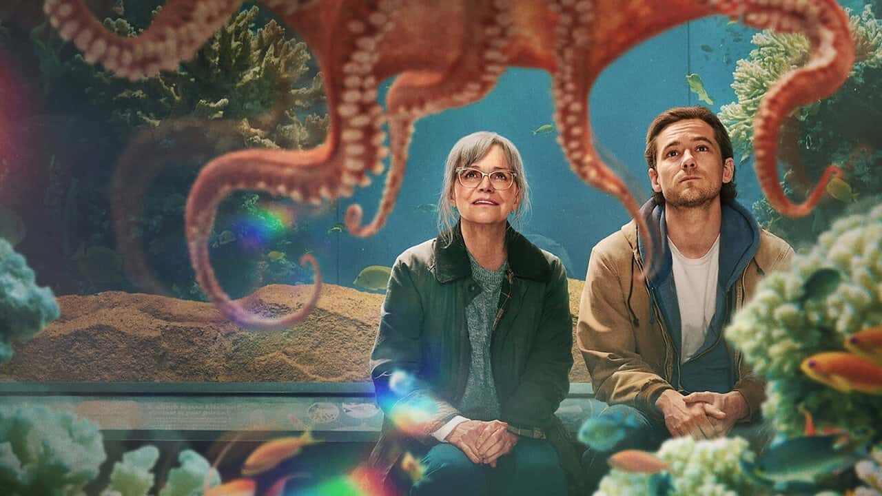 Nonton film Remarkably Bright Creatures (2026) subtitle indonesia streaming HD gratis