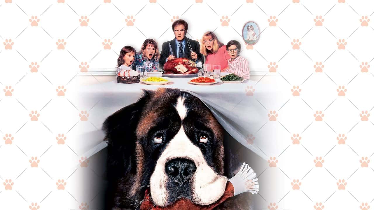 Nonton film Beethoven (1992) subtitle indonesia streaming HD gratis
