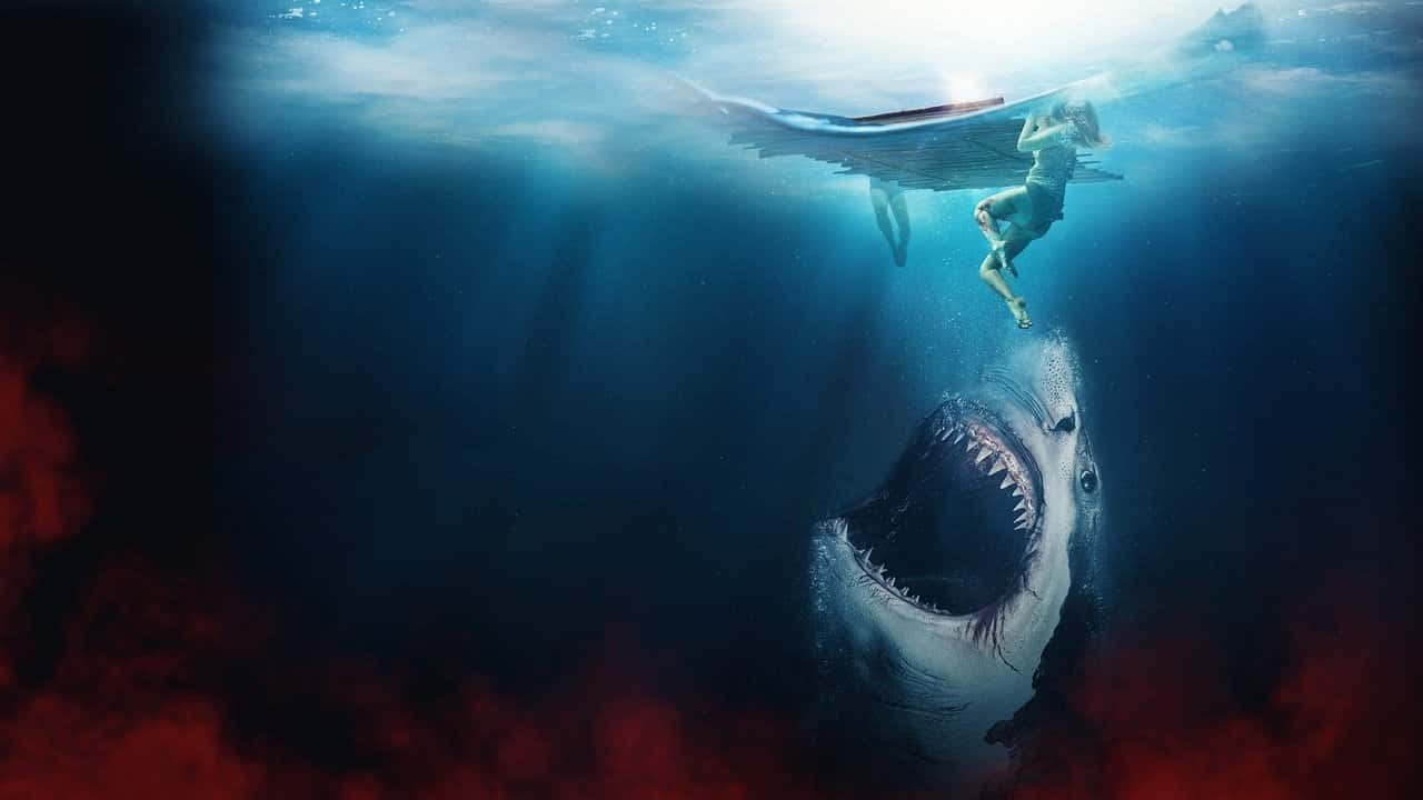 Nonton film The Requin (2022) subtitle indonesia streaming HD gratis