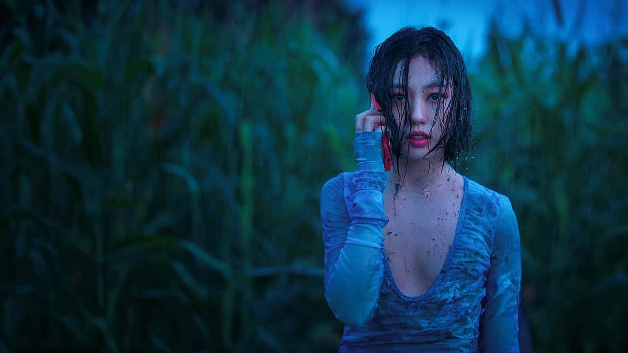 Nonton film The Frog (2024) subtitle indonesia streaming HD gratis