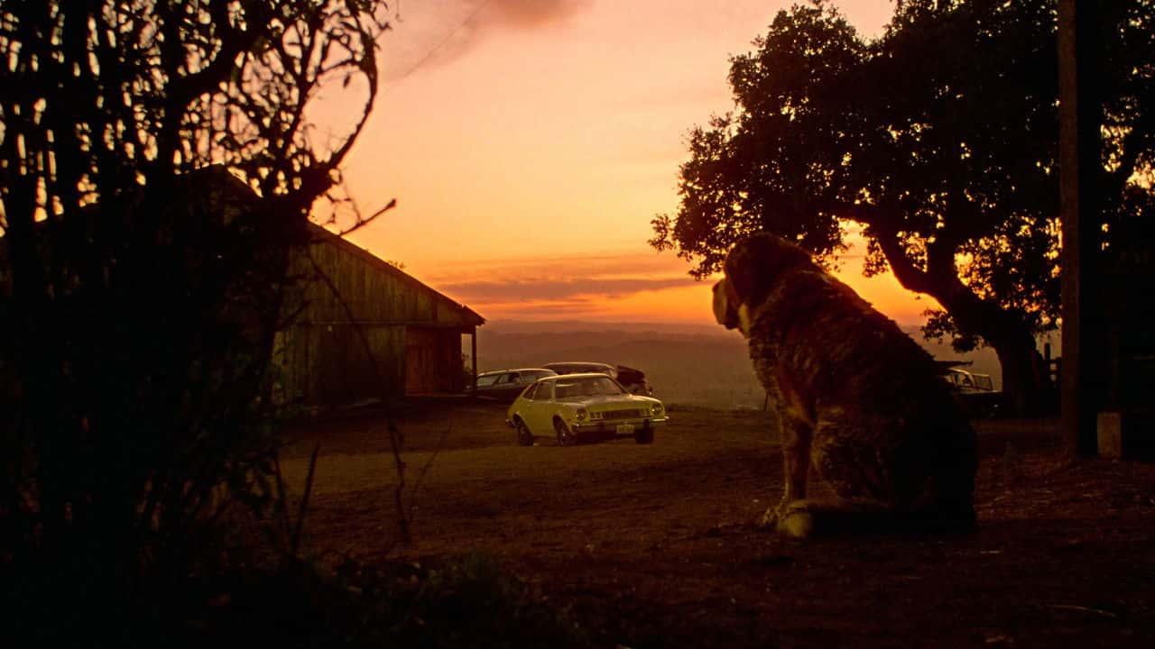 Nonton film Cujo (1983) subtitle indonesia streaming HD gratis