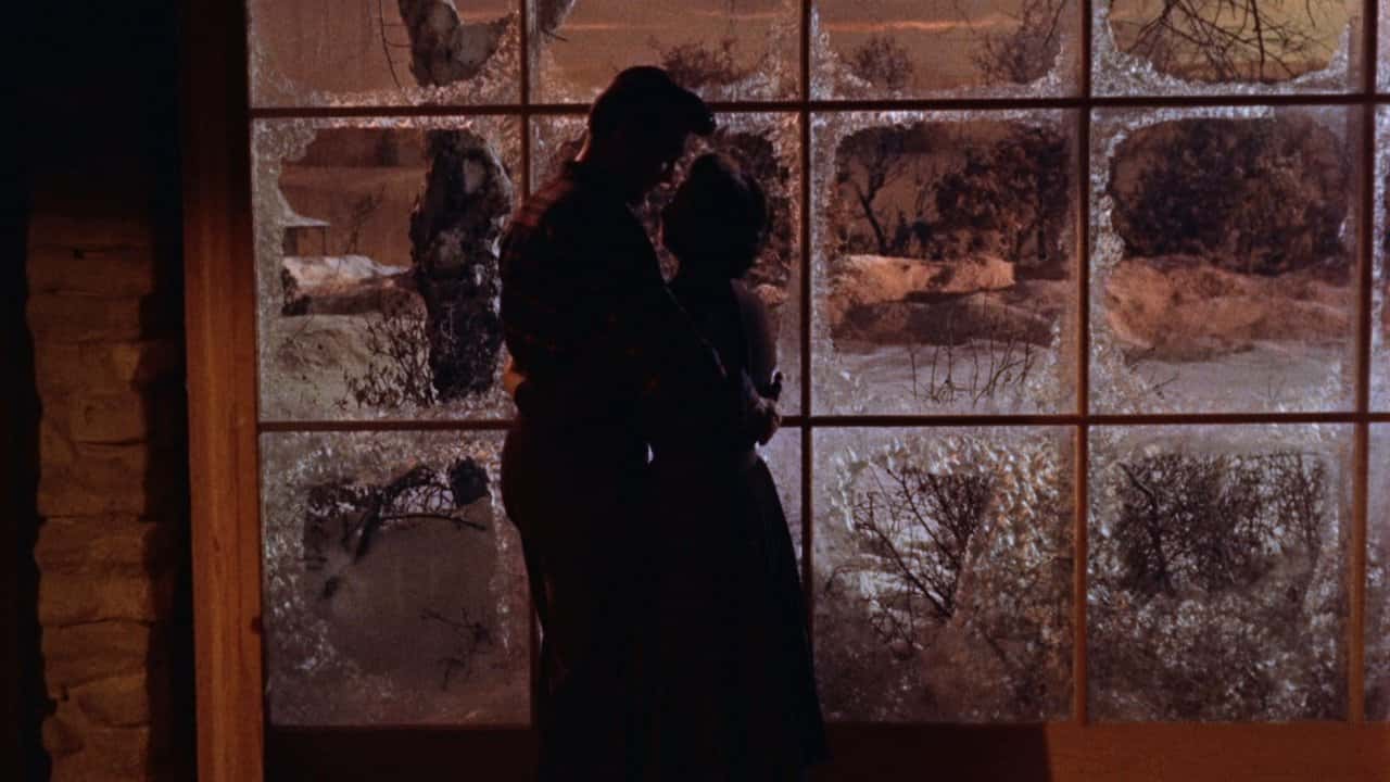 Nonton film All That Heaven Allows (1955) subtitle indonesia streaming HD gratis