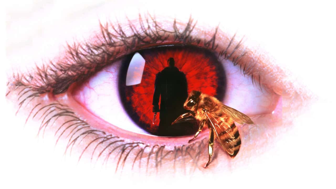 Nonton film Candyman (1992) subtitle indonesia streaming HD gratis