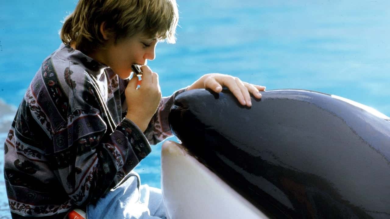 Nonton film Free Willy (1993) subtitle indonesia streaming HD gratis