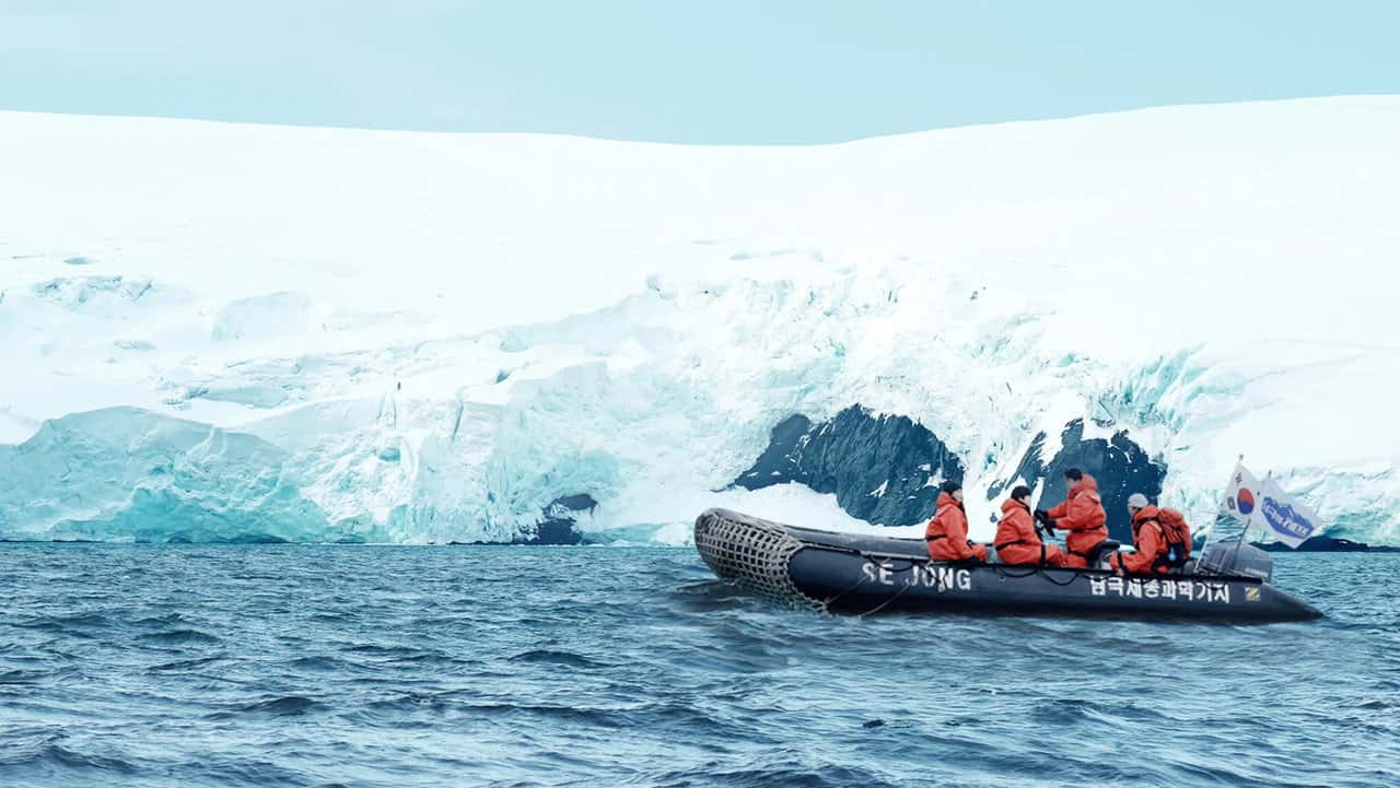 Nonton film Chef of Antarctica (2025) subtitle indonesia streaming HD gratis