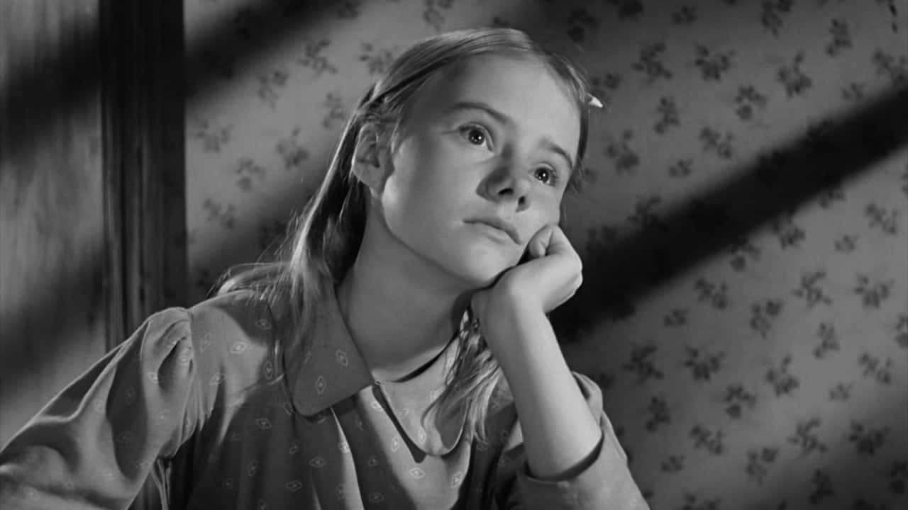 Nonton film A Tree Grows in Brooklyn (1945) subtitle indonesia streaming HD gratis