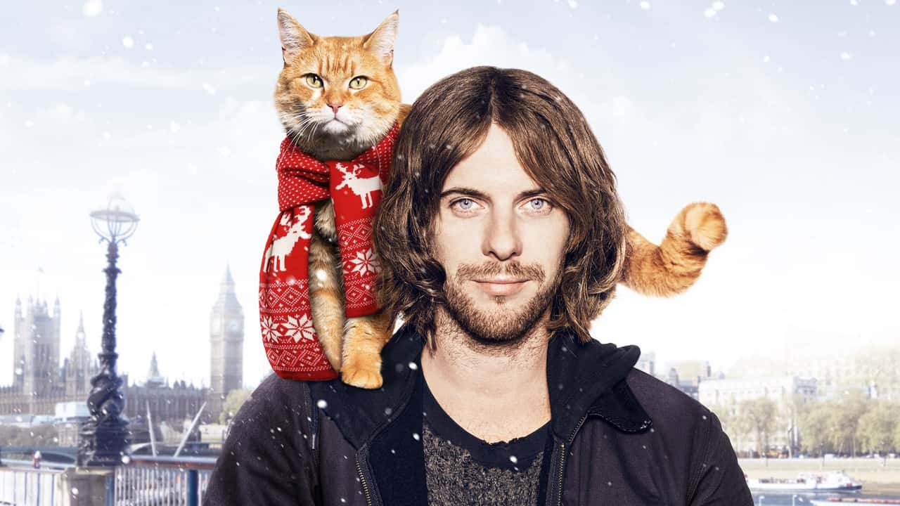 Nonton film A Street Cat Named Bob (2016) subtitle indonesia streaming HD gratis