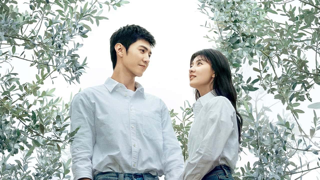 Nonton film The White Olive Tree (2025) subtitle indonesia streaming HD gratis
