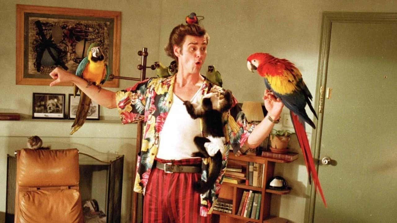 Nonton film Ace Ventura: Pet Detective (1994) subtitle indonesia streaming HD gratis
