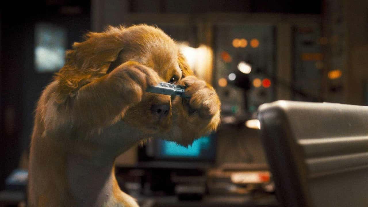 Nonton film Cats & Dogs: The Revenge of Kitty Galore (2010) subtitle indonesia streaming HD gratis